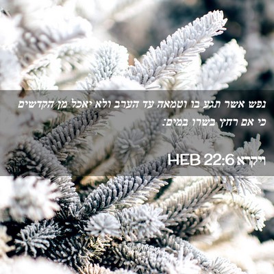 Picture 02 - ויקרא 22:6 HEB - נפש אשר תגע בו וטמאה עד - Bible Verse Picture