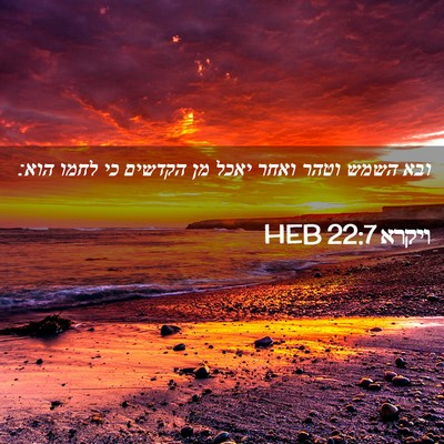 Picture 02 - ויקרא 22:7 HEB - ובא השמש וטהר ואחר יאכל מן - Bible Verse Picture