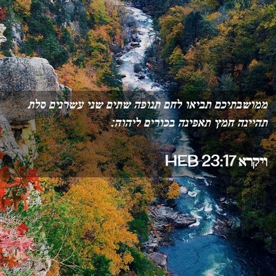 Picture 02 - ויקרא 23:17 HEB - ממושבתיכם תביאו לחם תנופה - Bible Verse Picture