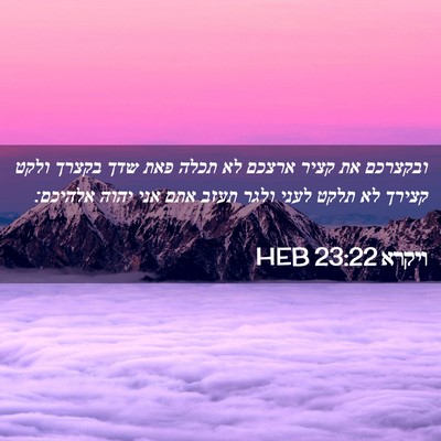 Picture 02 - ויקרא 23:22 HEB - ובקצרכם את קציר ארצכם לא - Bible Verse Picture