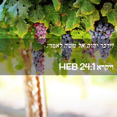 Picture 02 - ויקרא 24:1 HEB - וידבר יהוה אל משה - Bible Verse Picture