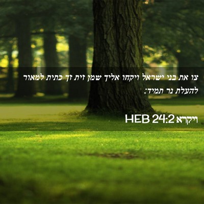 Picture 02 - ויקרא 24:2 HEB - צו את בני ישראל ויקחו אליך - Bible Verse Picture