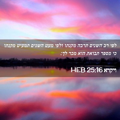 Picture 02 - ויקרא 25:16 HEB - לפי רב השנים תרבה מקנתו - Bible Verse Picture