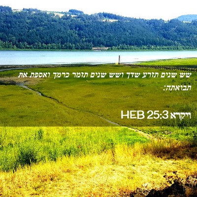 Picture 02 - ויקרא 25:3 HEB - שש שנים תזרע שדך ושש שנים - Bible Verse Picture