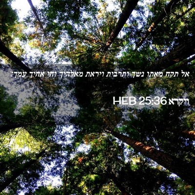 Picture 02 - ויקרא 25:36 HEB - אל תקח מאתו נשך ותרבית - Bible Verse Picture