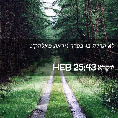 Picture 02 - ויקרא 25:43 HEB - לא תרדה בו בפרך ויראת - Bible Verse Picture