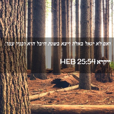 Picture 02 - ויקרא 25:54 HEB - ואם לא יגאל באלה ויצא בשנת - Bible Verse Picture