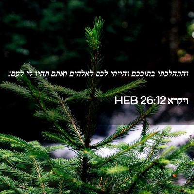 Picture 02 - ויקרא 26:12 HEB - והתהלכתי בתוככם והייתי לכם - Bible Verse Picture
