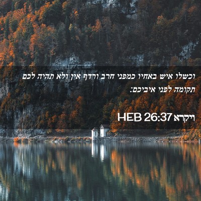 Picture 02 - ויקרא 26:37 HEB - וכשלו איש באחיו כמפני חרב - Bible Verse Picture