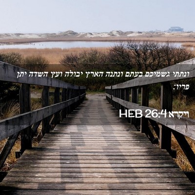 Picture 02 - ויקרא 26:4 HEB - ונתתי גשמיכם בעתם ונתנה - Bible Verse Picture