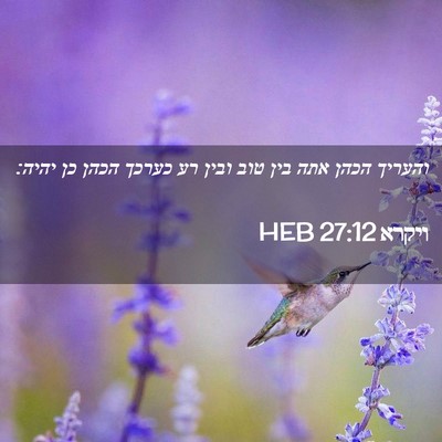 Picture 02 - ויקרא 27:12 HEB - והעריך הכהן אתה בין טוב - Bible Verse Picture