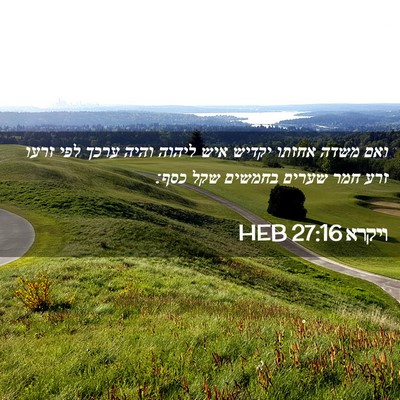 Picture 02 - ויקרא 27:16 HEB - ואם משדה אחזתו יקדיש איש - Bible Verse Picture