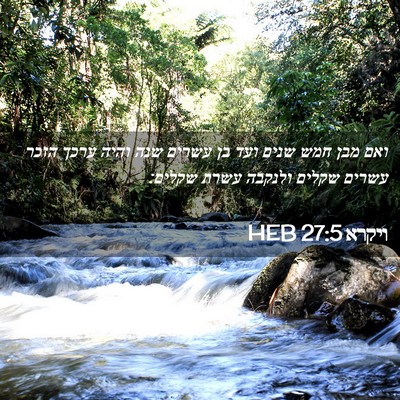 Picture 02 - ויקרא 27:5 HEB - ואם מבן חמש שנים ועד בן - Bible Verse Picture