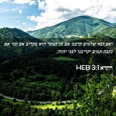 Picture 02 - ויקרא 3:1 HEB - ואם זבח שלמים קרבנו אם מן - Bible Verse Picture