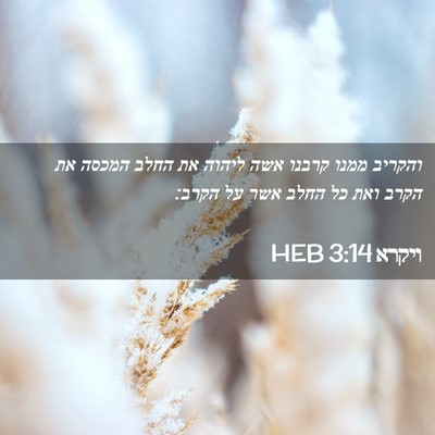 Picture 02 - ויקרא 3:14 HEB - והקריב ממנו קרבנו אשה - Bible Verse Picture