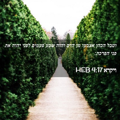 Picture 02 - ויקרא 4:17 HEB - וטבל הכהן אצבעו מן הדם והזה - Bible Verse Picture