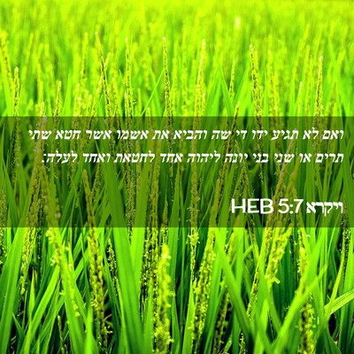 Picture 02 - ויקרא 5:7 HEB - ואם לא תגיע ידו די שה והביא - Bible Verse Picture