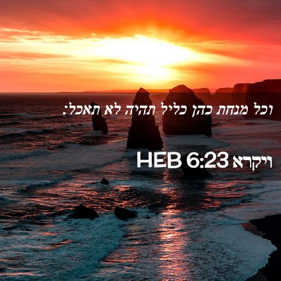 Picture 02 - ויקרא 6:23 HEB - וכל מנחת כהן כליל תהיה לא - Bible Verse Picture