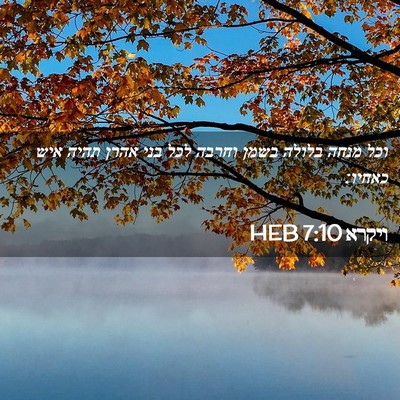Picture 02 - ויקרא 7:10 HEB - וכל מנחה בלולה בשמן וחרבה - Bible Verse Picture