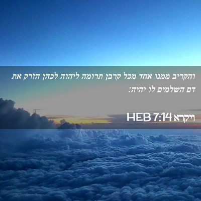 Picture 02 - ויקרא 7:14 HEB - והקריב ממנו אחד מכל קרבן - Bible Verse Picture