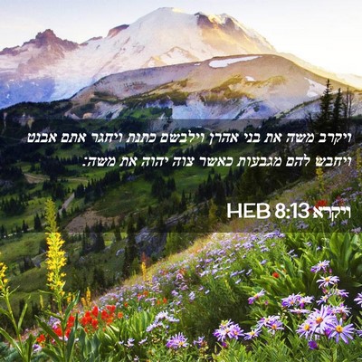 Picture 02 - ויקרא 8:13 HEB - ויקרב משה את בני אהרן - Bible Verse Picture