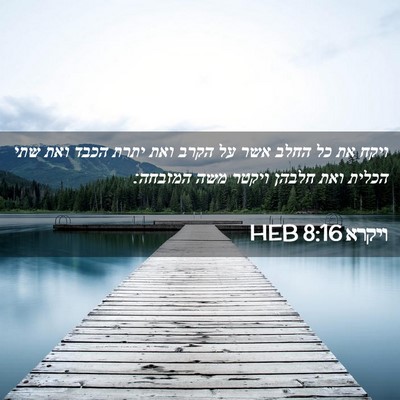 Picture 02 - ויקרא 8:16 HEB - ויקח את כל החלב אשר על הקרב - Bible Verse Picture
