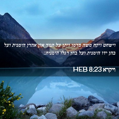 Picture 02 - ויקרא 8:23 HEB - וישחט ויקח משה מדמו ויתן על - Bible Verse Picture