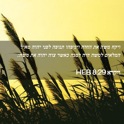 Picture 02 - ויקרא 8:29 HEB - ויקח משה את החזה ויניפהו - Bible Verse Picture