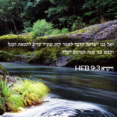 Picture 02 - ויקרא 9:3 HEB - ואל בני ישראל תדבר לאמר קחו - Bible Verse Picture