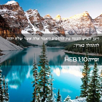 Picture 02 - זכריה 1:10 HEB - ויען האיש העמד בין ההדסים - Bible Verse Picture