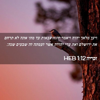 Picture 02 - זכריה 1:12 HEB - ויען מלאך יהוה ויאמר יהוה - Bible Verse Picture