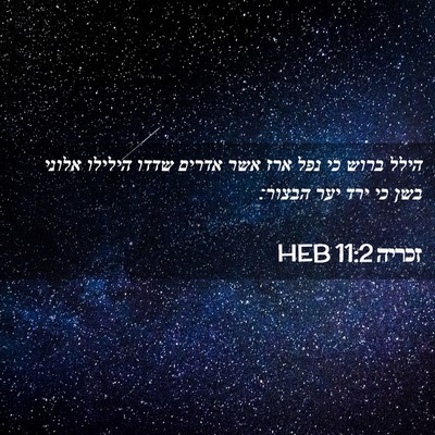 Picture 02 - זכריה 11:2 HEB - הילל ברוש כי נפל ארז אשר - Bible Verse Picture
