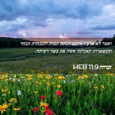 Picture 02 - זכריה 11:9 HEB - ואמר לא ארעה אתכם המתה תמות - Bible Verse Picture