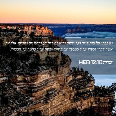 Picture 02 - זכריה 12:10 HEB - ושפכתי על בית דויד ועל יושב - Bible Verse Picture