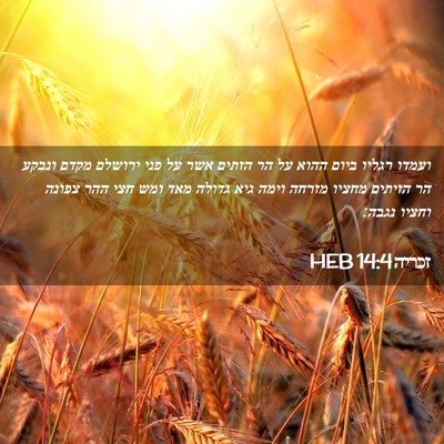 Picture 02 - זכריה 14:4 HEB - ועמדו רגליו ביום ההוא על הר - Bible Verse Picture