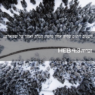 Picture 02 - זכריה 4:3 HEB - ושנים זיתים עליה אחד מימין - Bible Verse Picture