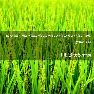 Picture 02 - זכריה 5:6 HEB - ואמר מה היא ויאמר זאת האיפה - Bible Verse Picture