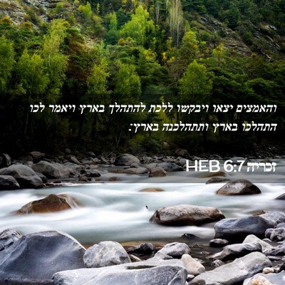 Picture 02 - זכריה 6:7 HEB - והאמצים יצאו ויבקשו ללכת - Bible Verse Picture