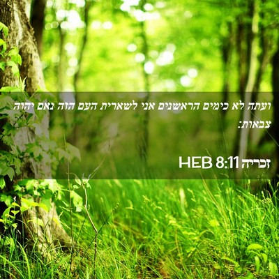 Picture 02 - זכריה 8:11 HEB - ועתה לא כימים הראשנים אני - Bible Verse Picture