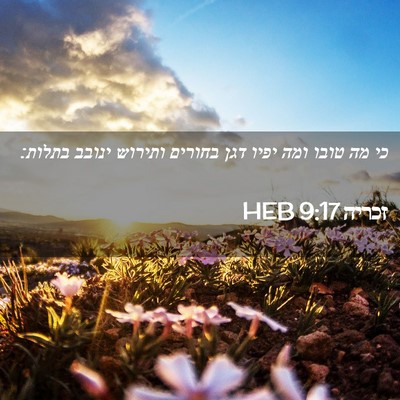 Picture 02 - זכריה 9:17 HEB - כי מה טובו ומה יפיו דגן - Bible Verse Picture