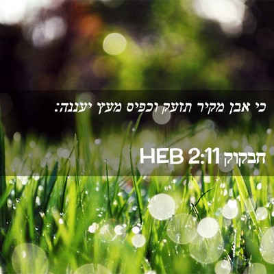 Picture 02 - חבקוק 2:11 HEB - כי אבן מקיר תזעק וכפיס מעץ - Bible Verse Picture