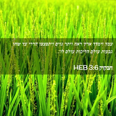 Picture 02 - חבקוק 3:6 HEB - עמד וימדד ארץ ראה ויתר גוים - Bible Verse Picture