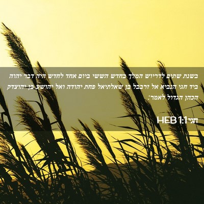 Picture 02 - חגי 1:1 HEB - בשנת שתים לדריוש המלך בחדש - Bible Verse Picture