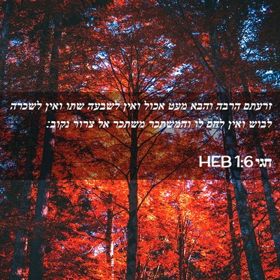 Picture 02 - חגי 1:6 HEB - זרעתם הרבה והבא מעט אכול - Bible Verse Picture