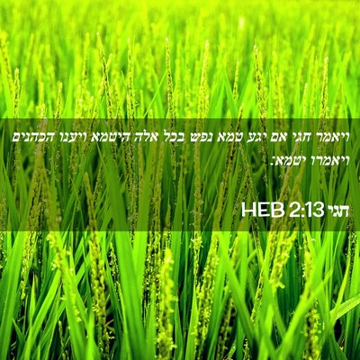 Picture 02 - חגי 2:13 HEB - ויאמר חגי אם יגע טמא נפש - Bible Verse Picture