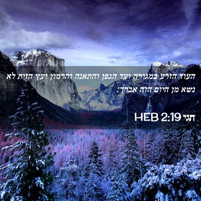 Picture 02 - חגי 2:19 HEB - העוד הזרע במגורה ועד הגפן - Bible Verse Picture