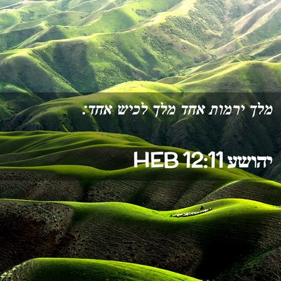 Picture 02 - יהושע 12:11 HEB - מלך ירמות אחד מלך לכיש - Bible Verse Picture