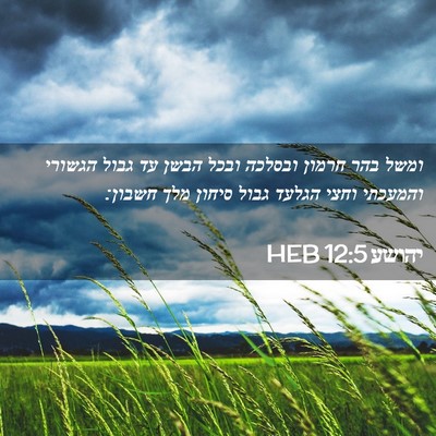 Picture 02 - יהושע 12:5 HEB - ומשל בהר חרמון ובסלכה ובכל - Bible Verse Picture