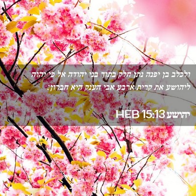 Picture 02 - יהושע 15:13 HEB - ולכלב בן יפנה נתן חלק בתוך - Bible Verse Picture