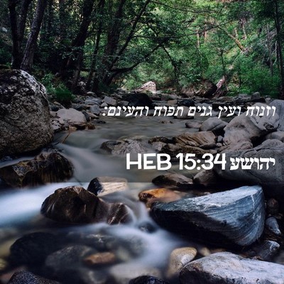 Picture 02 - יהושע 15:34 HEB - וזנוח ועין גנים תפוח - Bible Verse Picture